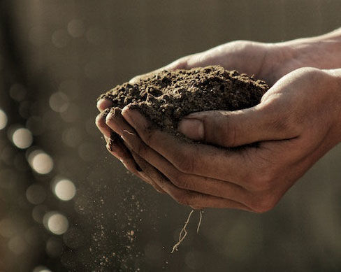 Soil